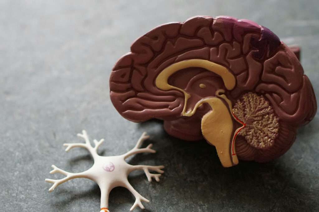 Neurodiversiät am Arbeitsplatz © Robina Weermeijer / Unsplash